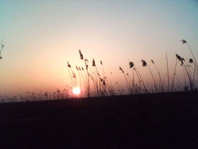 Der Sonnen-Untergang auf dem Kuhgraben